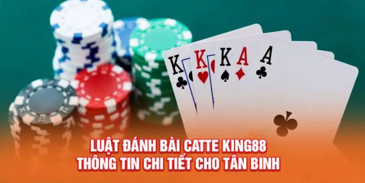 Cách chơi game bài catte King88 chi tiết nhất cho tân thủ