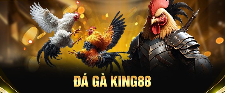 Chiến thuật chơi đá gà King88 bất bại cao thủ không muốn bạn biết