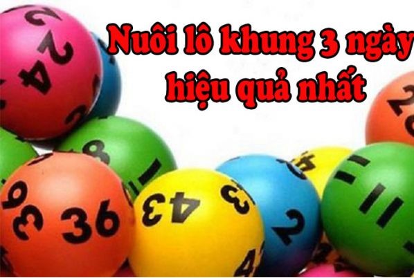 Kinh nghiệm thực tế từ những người chơi lão luyện