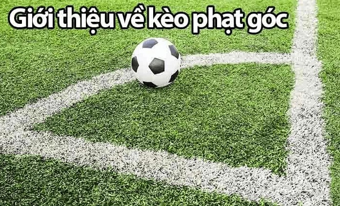 Thông tin khái quát về kèo cược phạt góc