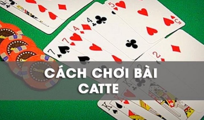 Tìm hiểu game bài catte King88 có gì nổi bật