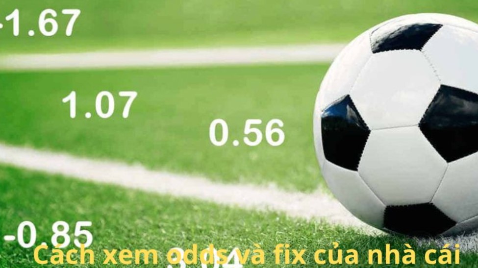 Lưu ý khi sử dụng cách xem odds và fix